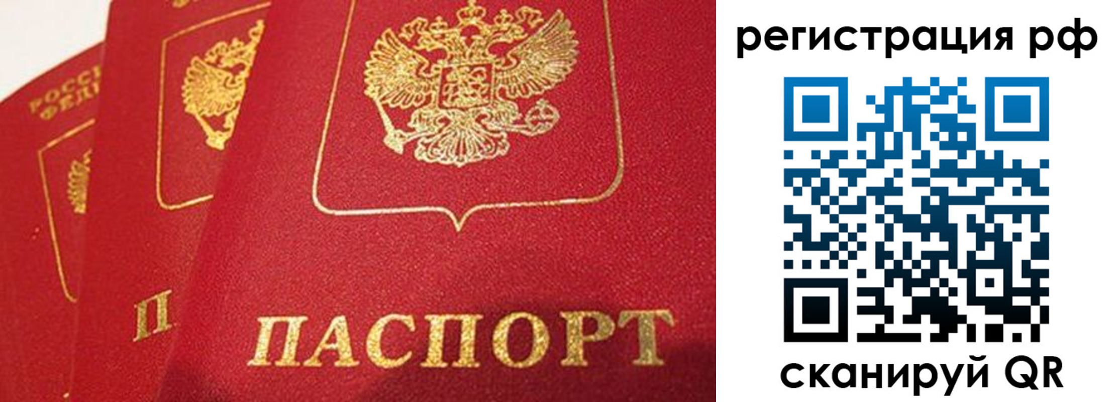 прописка поиск в Щучье